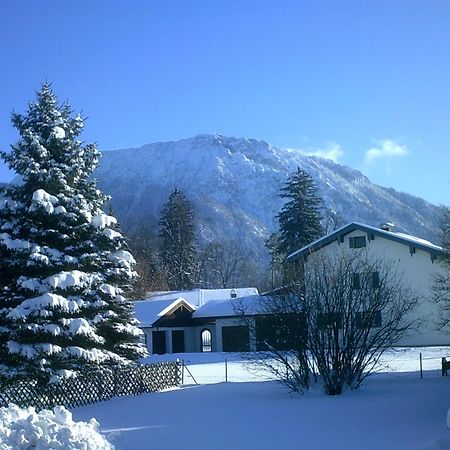 شقة Haus Alpenblick Inkl. Chiemgaukarte روهبولدنغ المظهر الخارجي الصورة