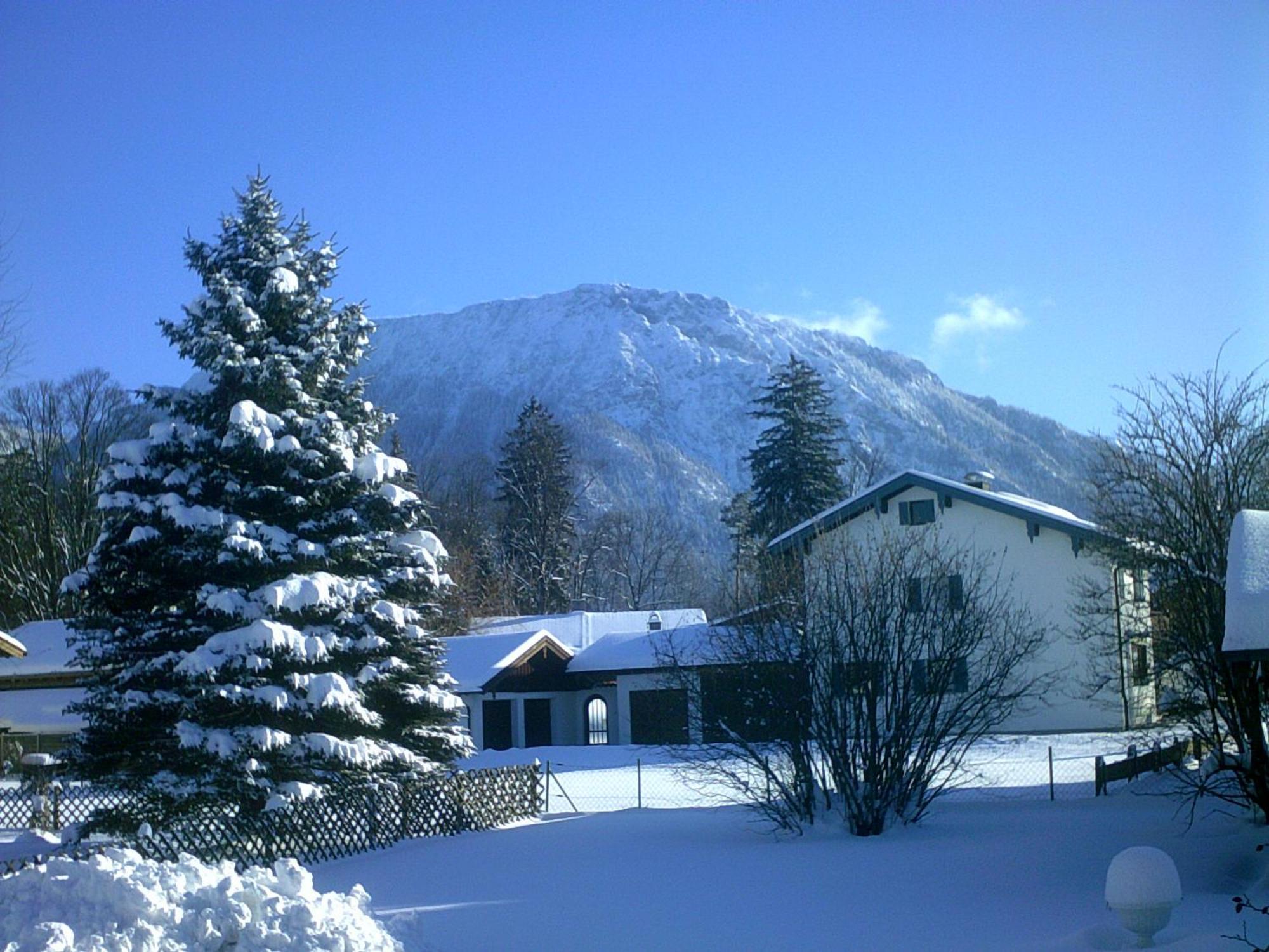شقة Haus Alpenblick Inkl. Chiemgaukarte روهبولدنغ المظهر الخارجي الصورة